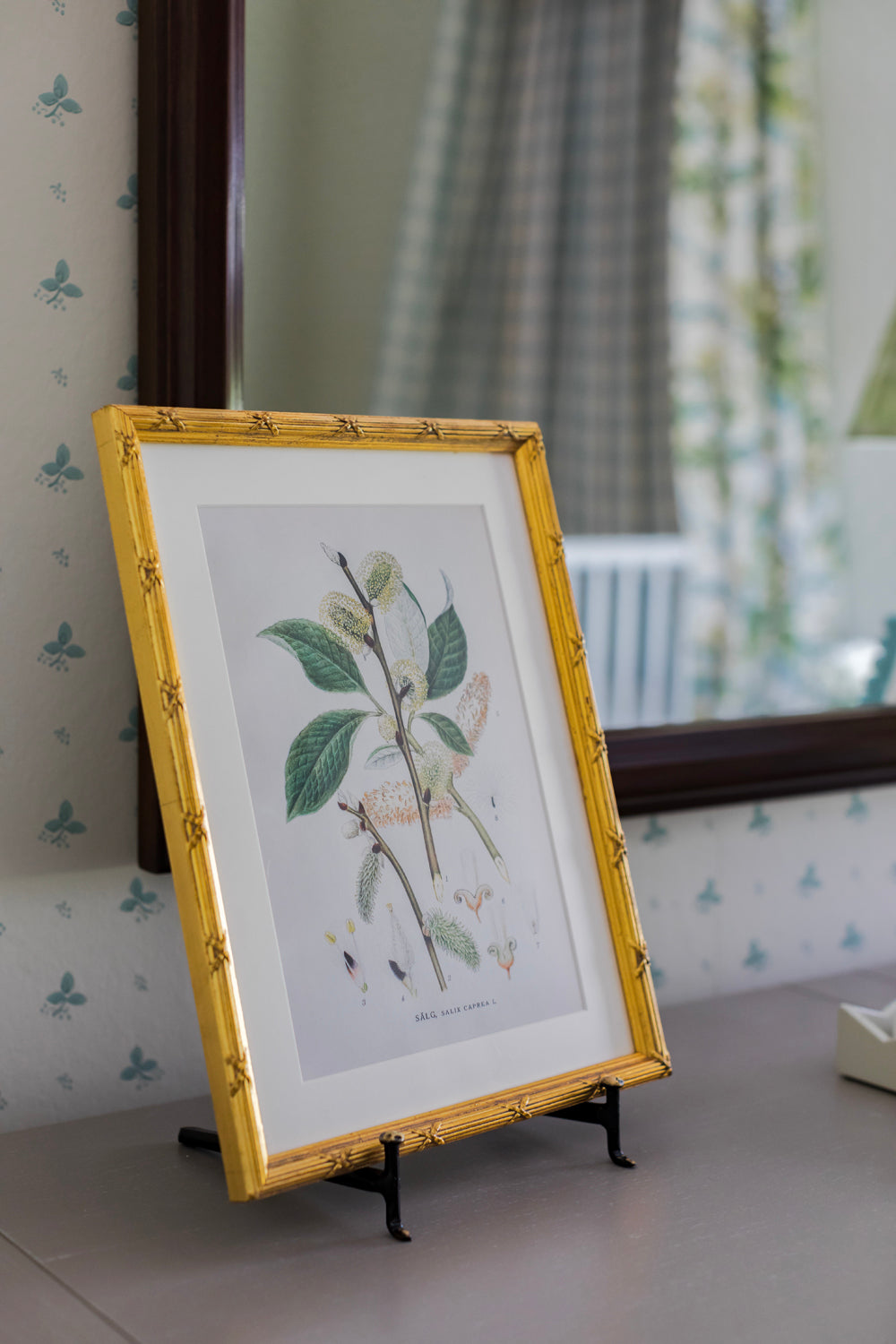Framed Arundel Botanical Print