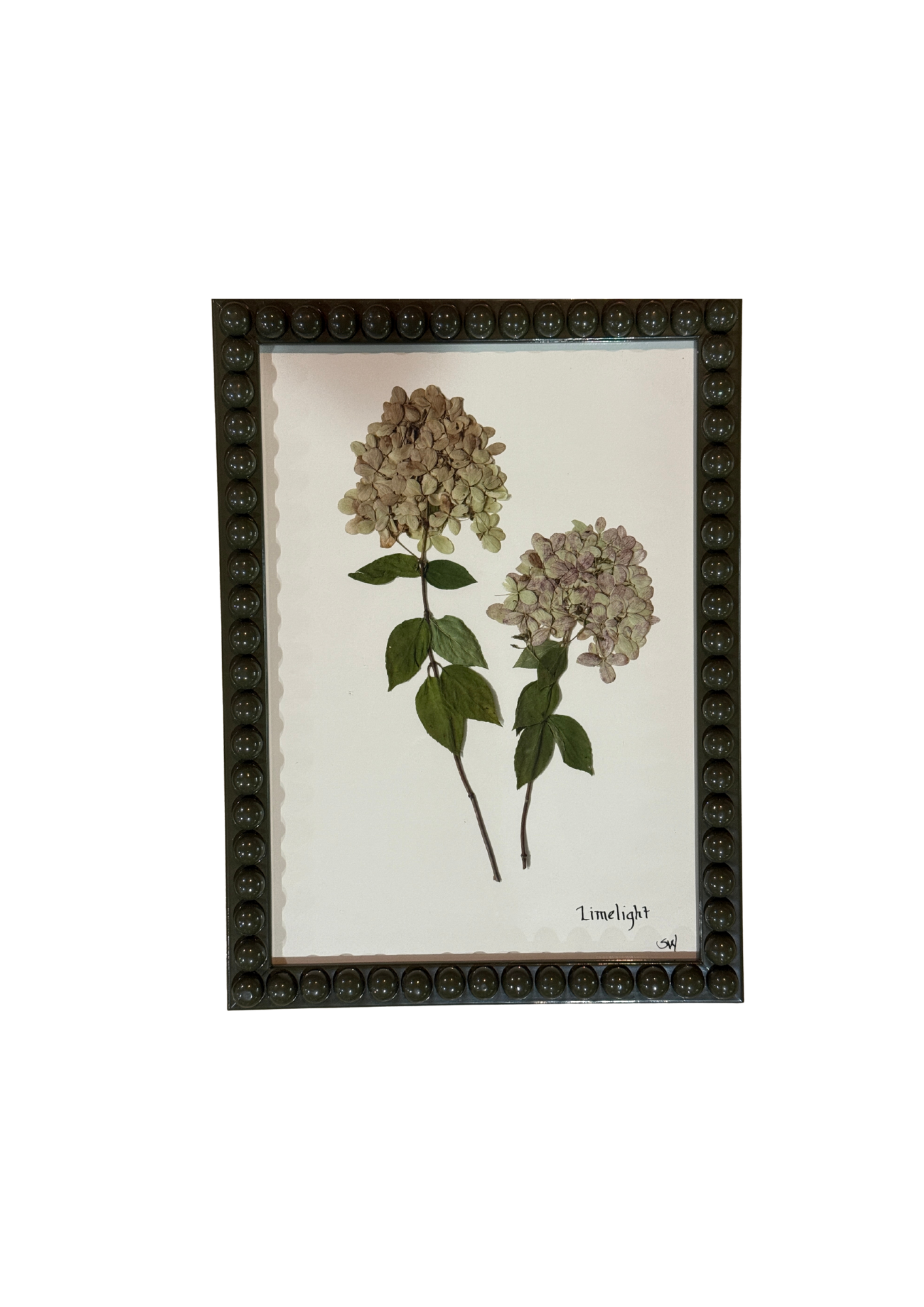 Framed Botanical In Medium Green Bobbin Frame