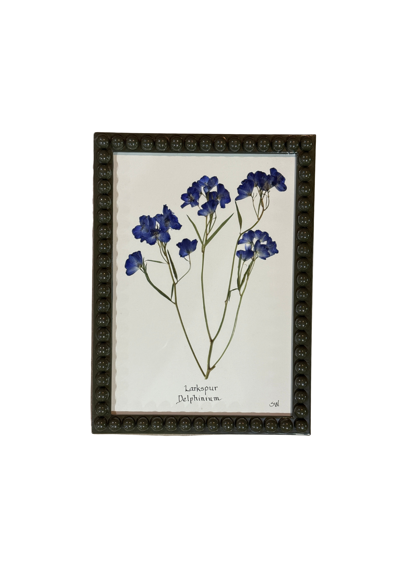 Framed Botanical In Medium Green Bobbin Frame