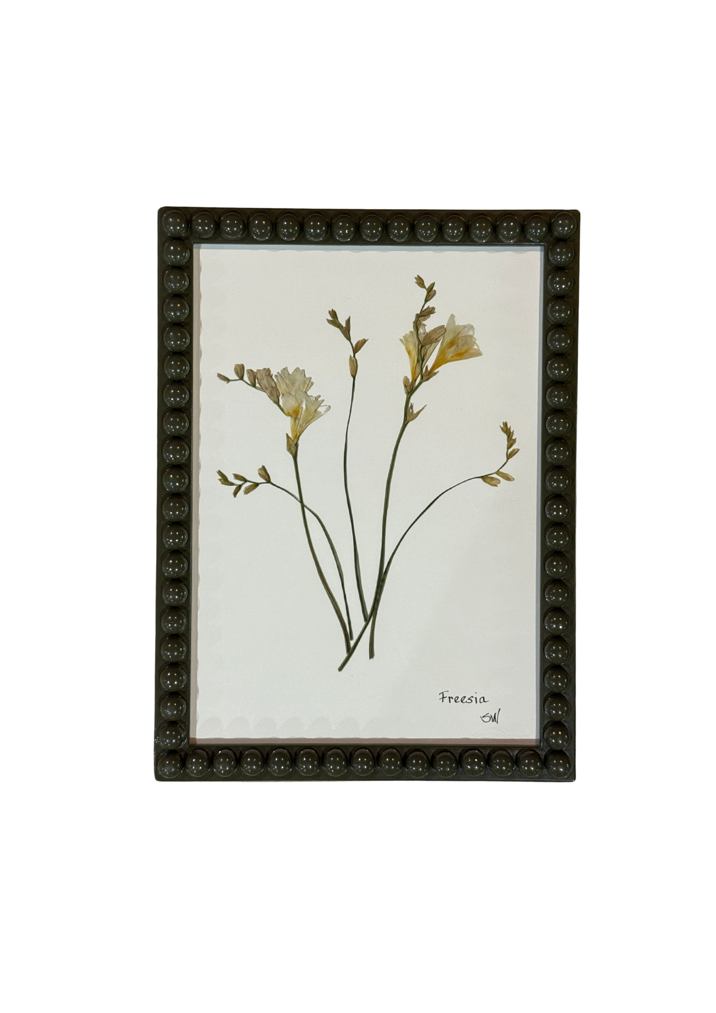 Framed Botanical In Medium Green Bobbin Frame
