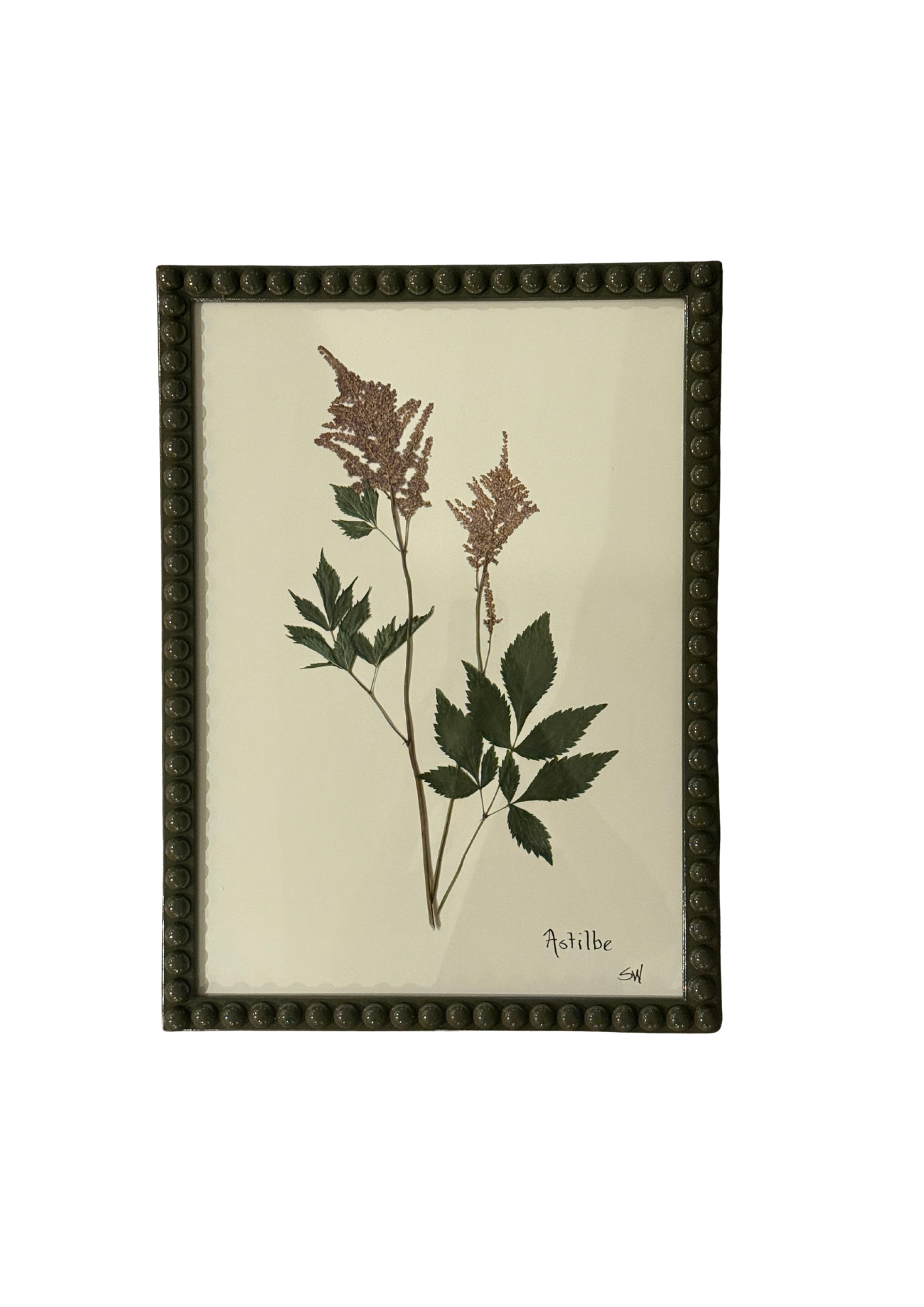 Framed Botanical In Large Green Bobbin Frame