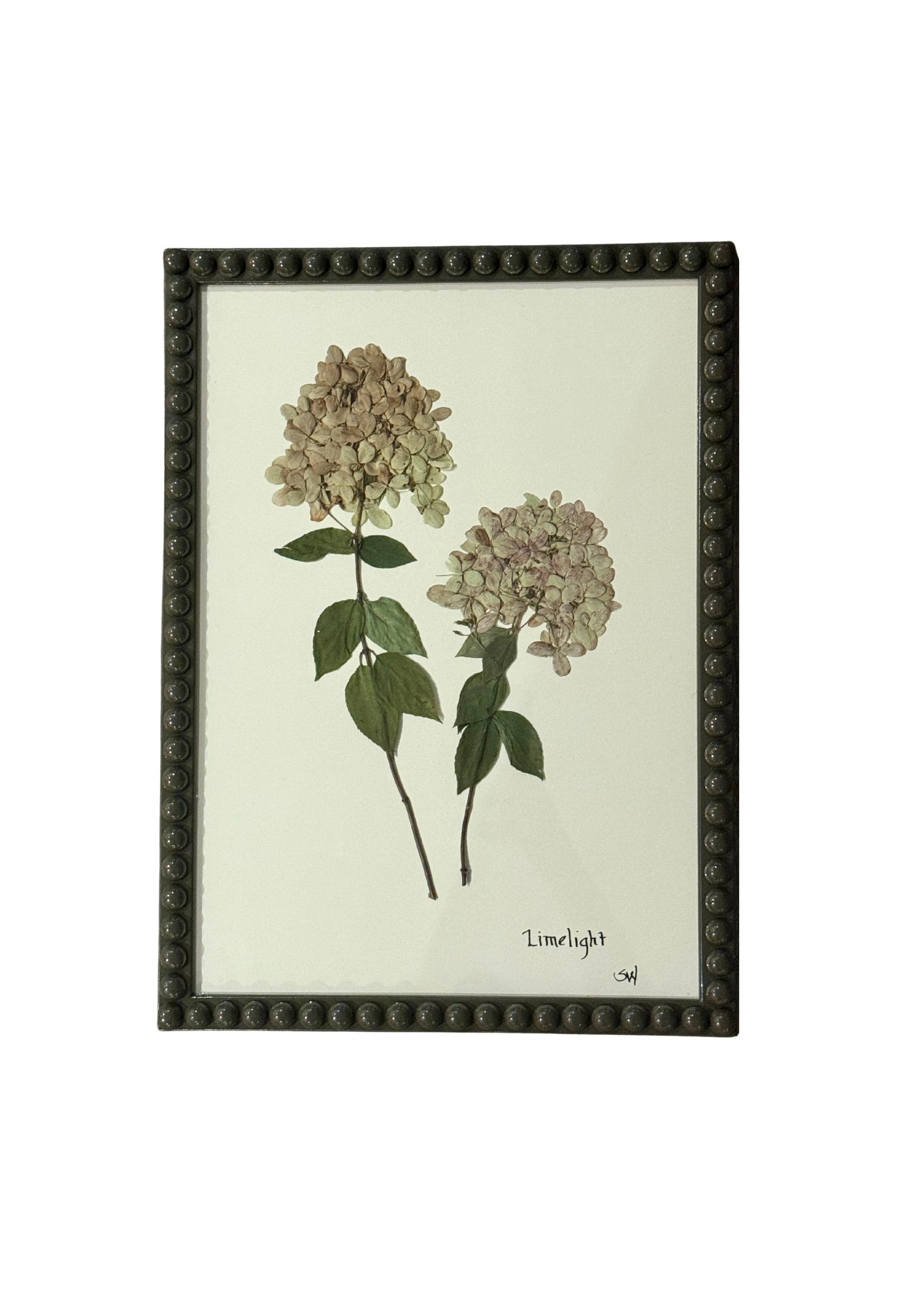 Framed Botanical In Large Green Bobbin Frame