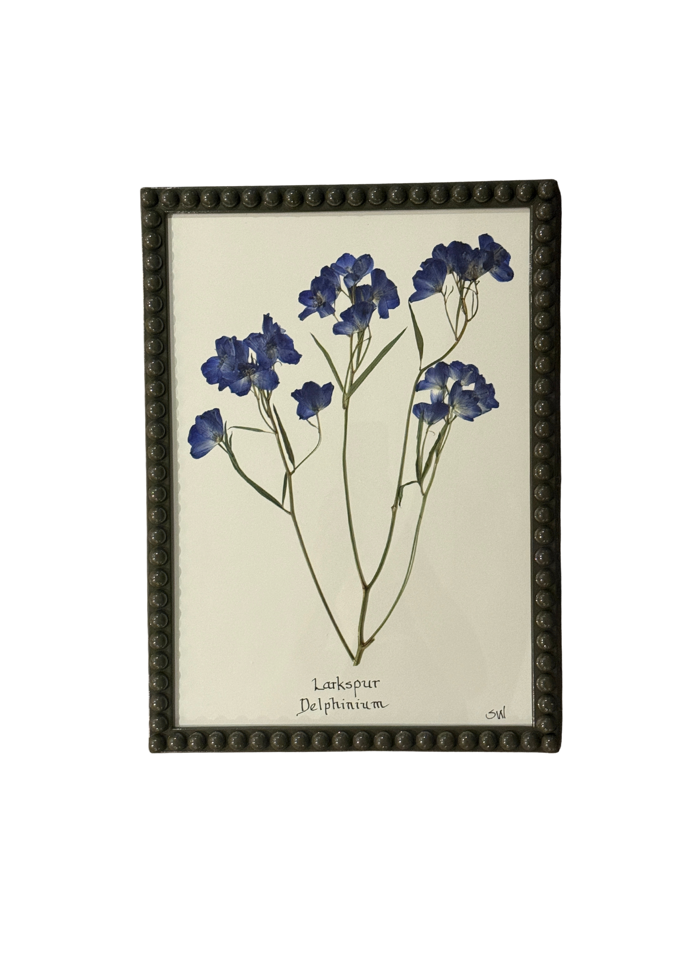 Framed Botanical In Large Green Bobbin Frame