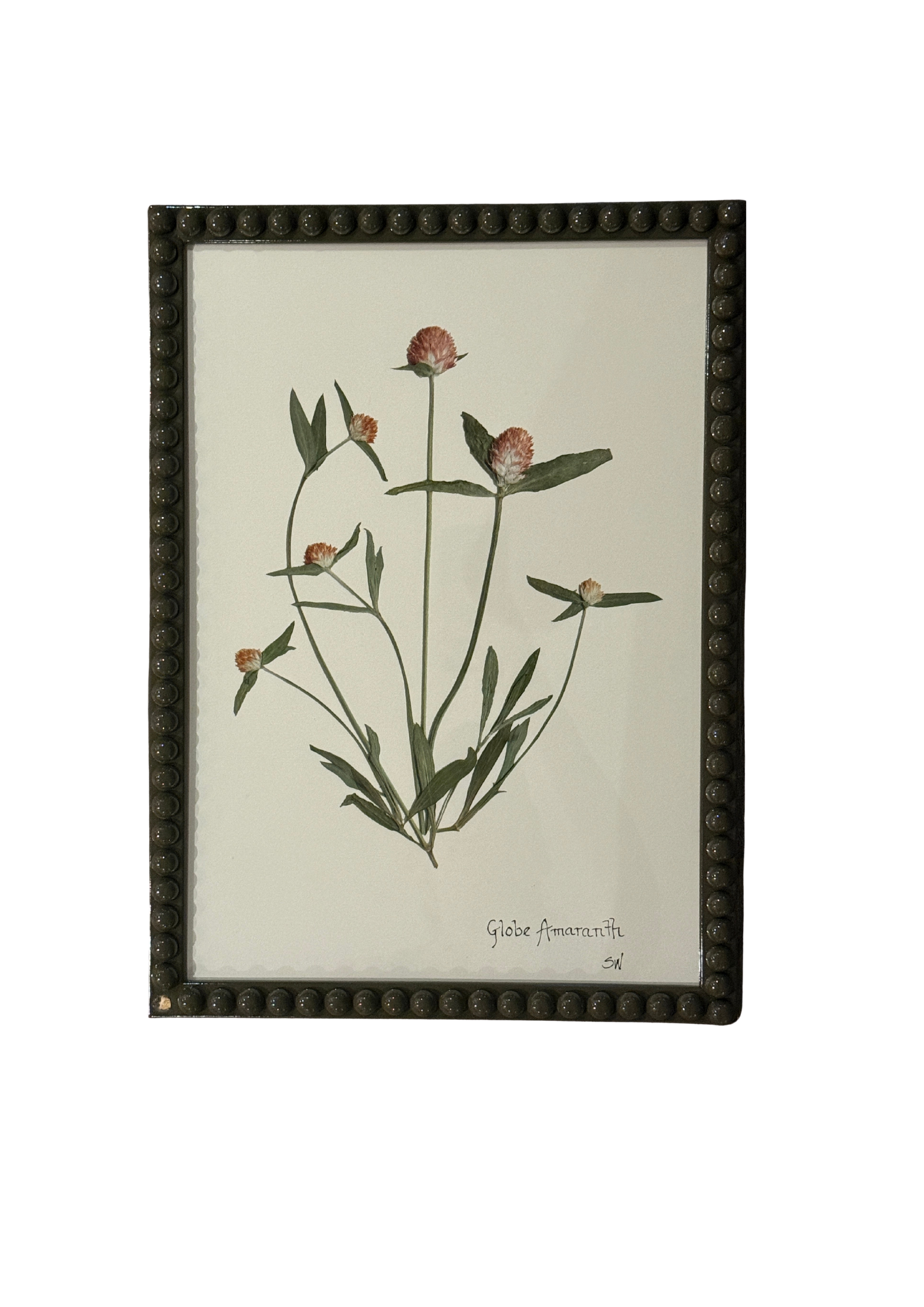 Framed Botanical In Large Green Bobbin Frame
