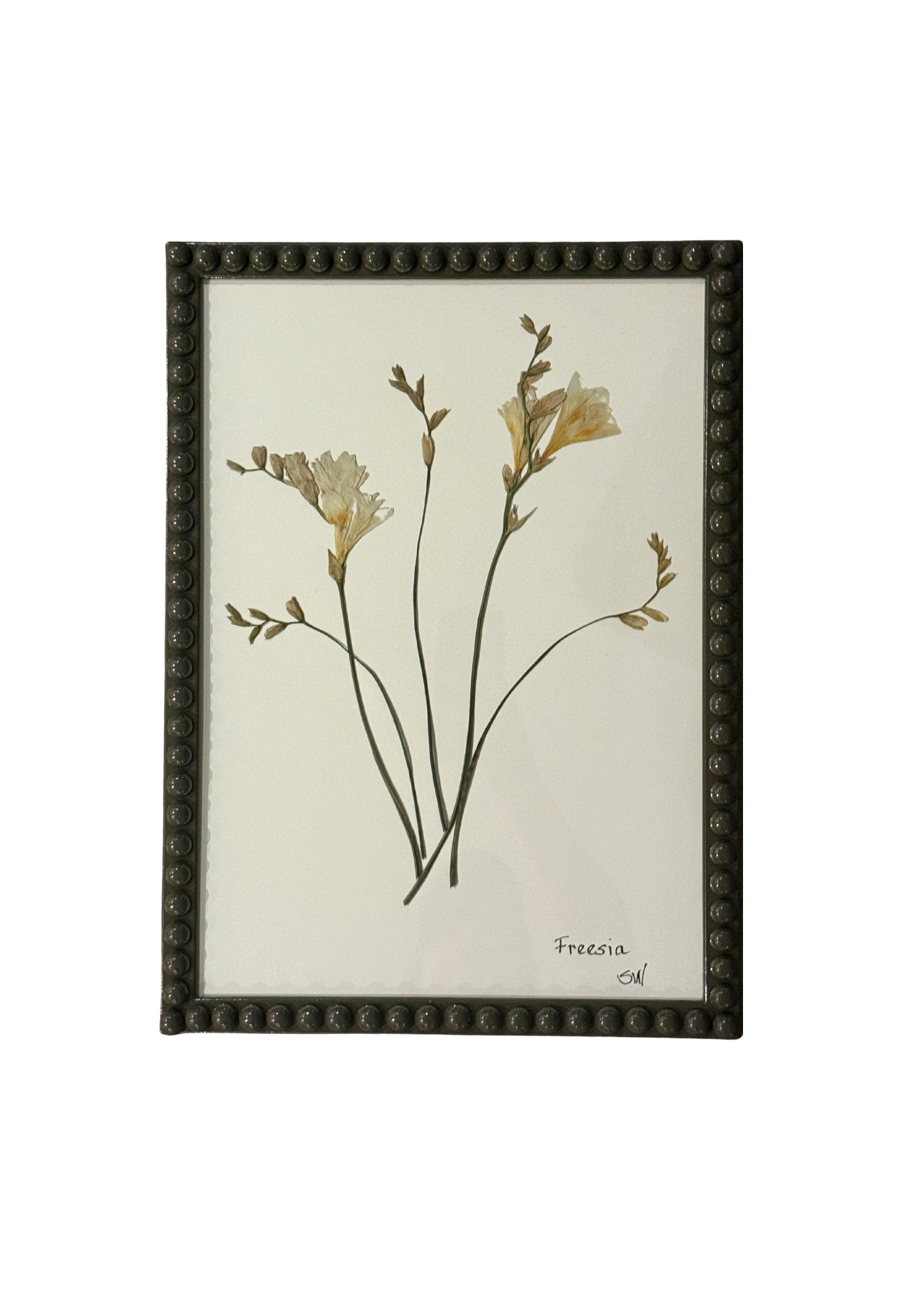 Framed Botanical In Large Green Bobbin Frame
