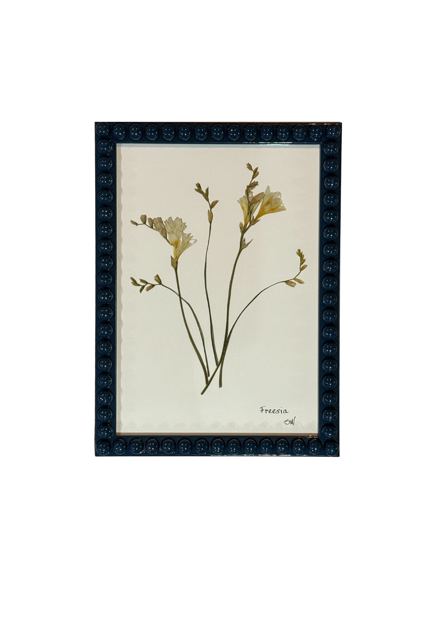 Framed Botanical In Medium Inky Blue Bobbin Frame