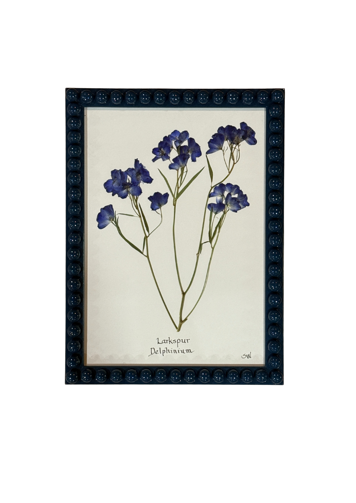 Framed Botanical In Medium Inky Blue Bobbin Frame