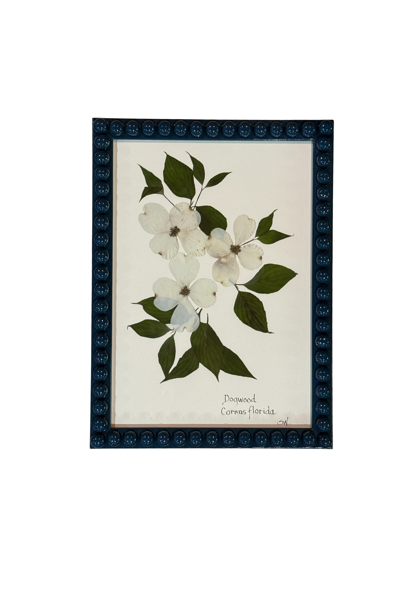Framed Botanical In Medium Inky Blue Bobbin Frame