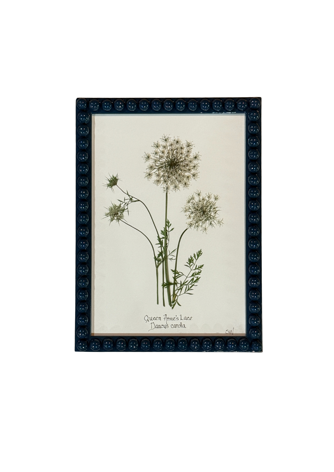 Framed Botanical In Medium Inky Blue Bobbin Frame