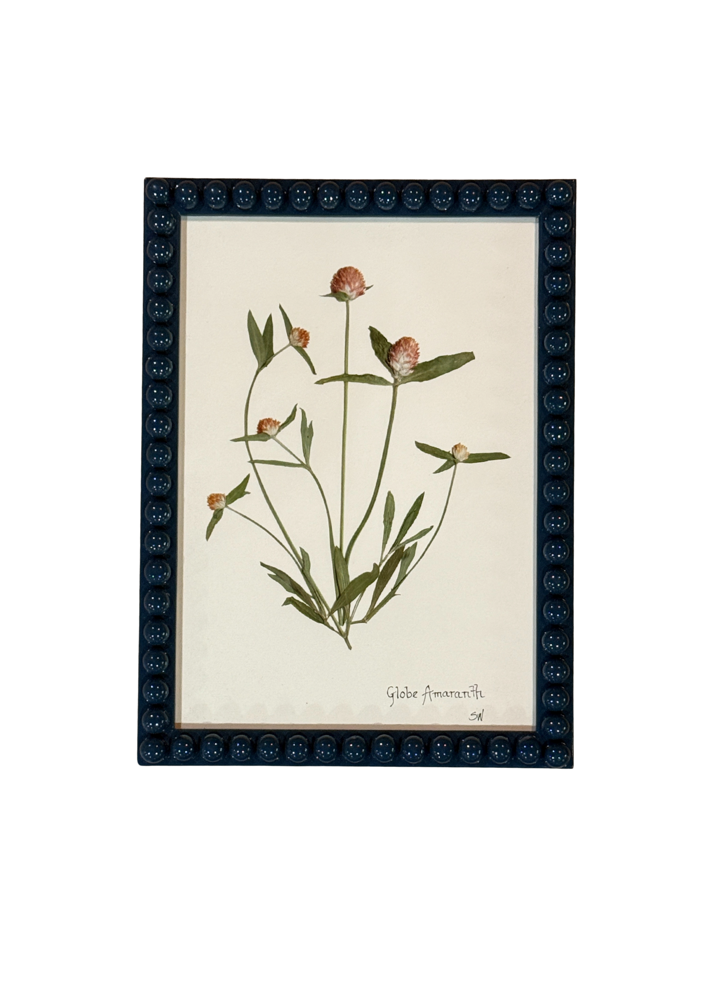Framed Botanical In Medium Inky Blue Bobbin Frame