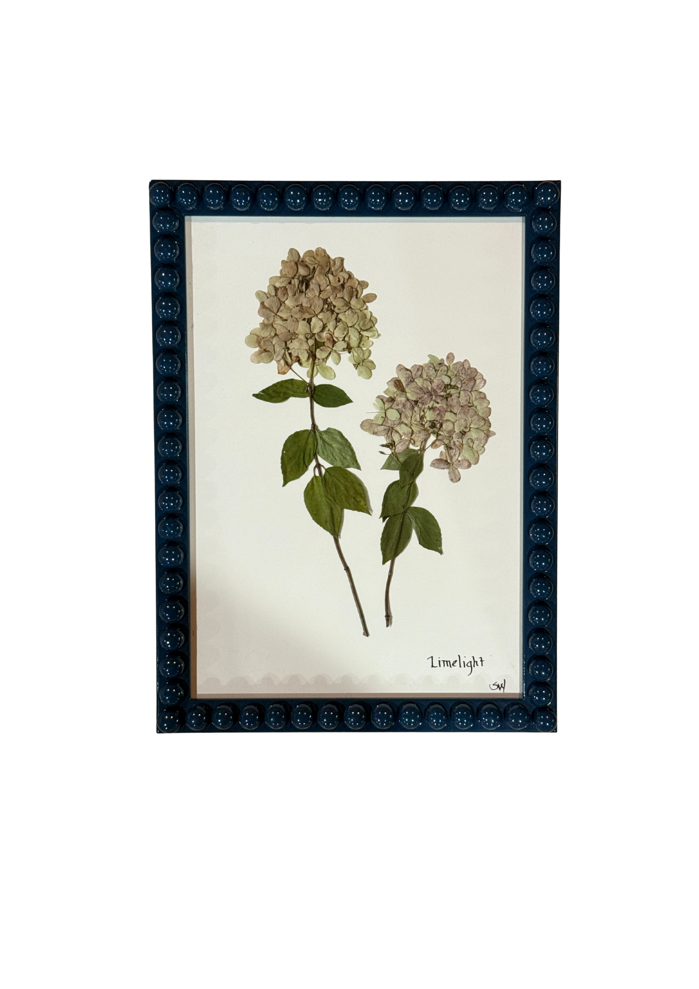 Framed Botanical In Medium Inky Blue Bobbin Frame