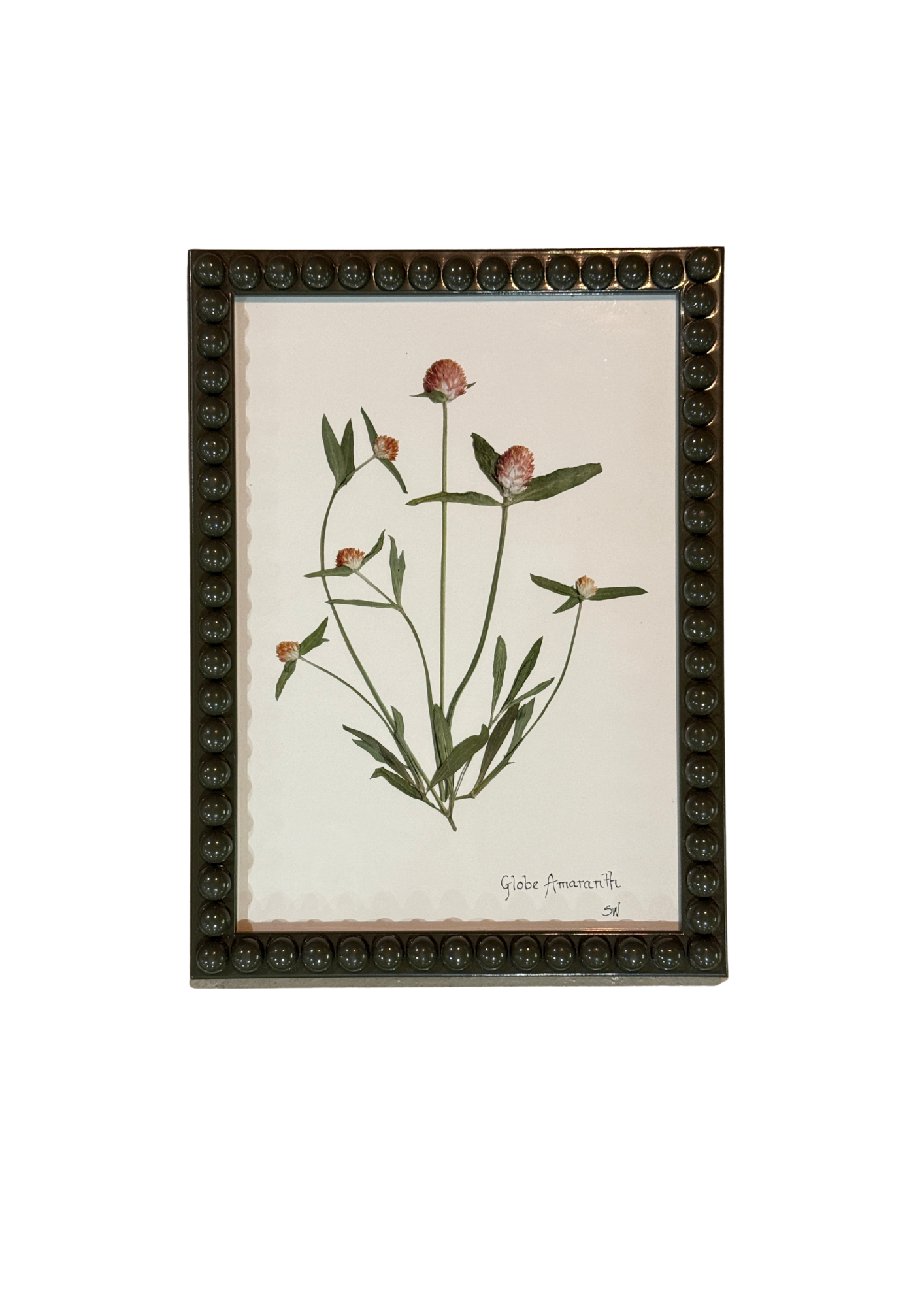 Framed Botanical In Medium Green Bobbin Frame
