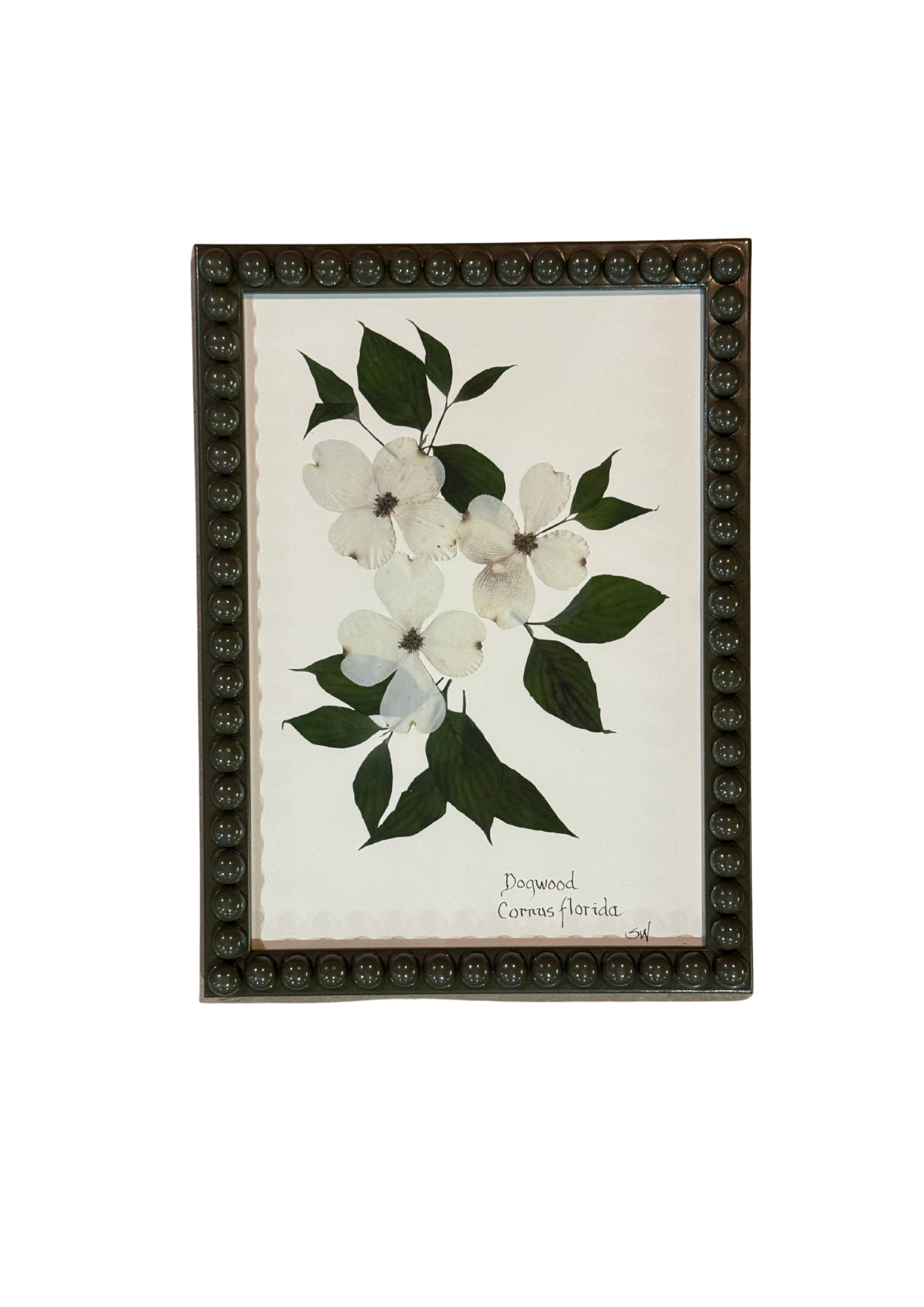 Framed Botanical In Medium Green Bobbin Frame
