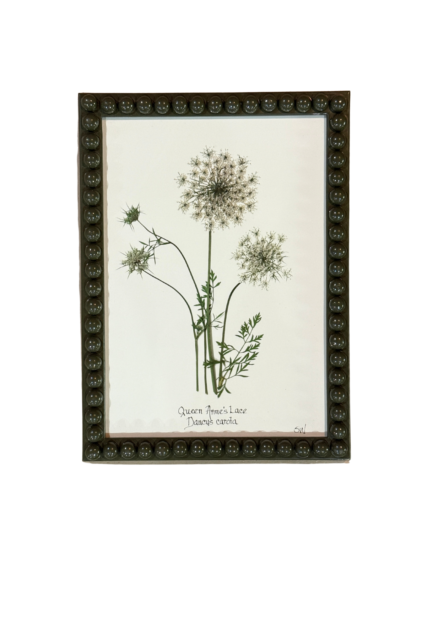 Framed Botanical In Medium Green Bobbin Frame